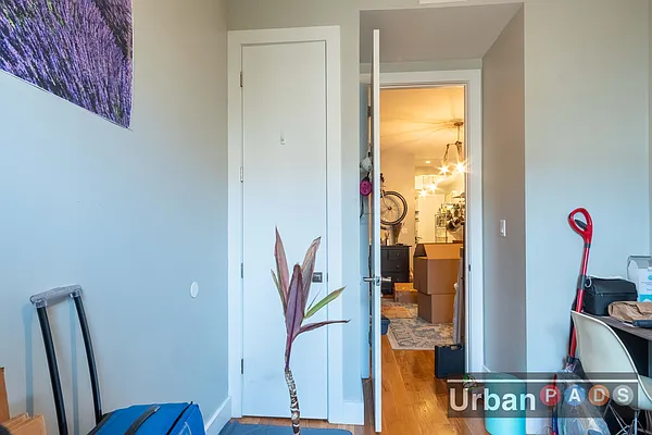 Rented by Urban Pads | media 17