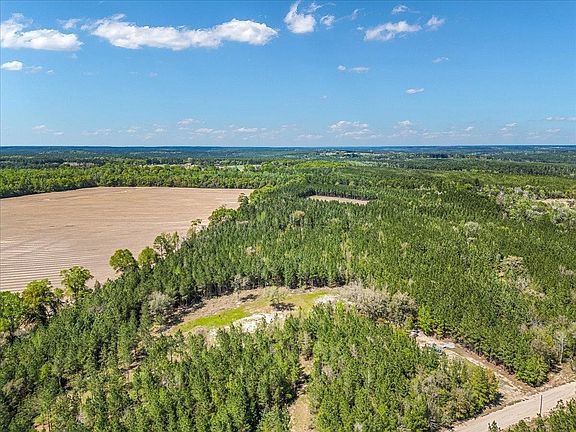 2nd image of 22544 Lechner Rd