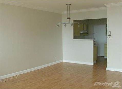 1st image of 2121 N Bayshore Dr APT 802