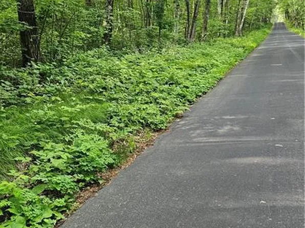 Lots 1-8, 41-48 Indian Drive, Hayward, WI 54843