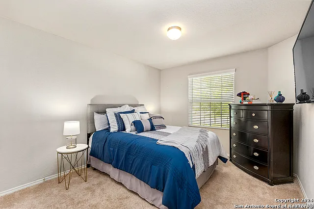 10674 Penelope Way — Photo 13