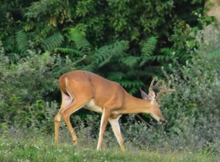 LOT 3 Laurel Grove Rd, Winchester, VA 22602