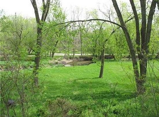 Backyard view of House