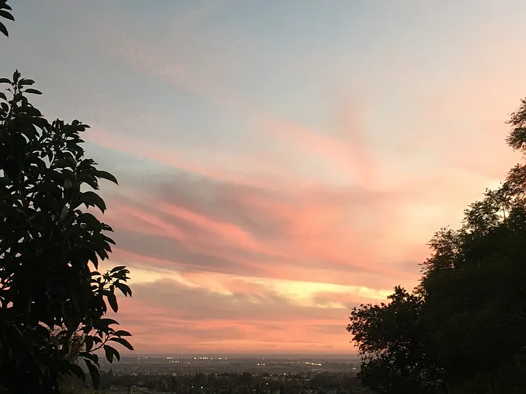 Via Baja — Photo 9