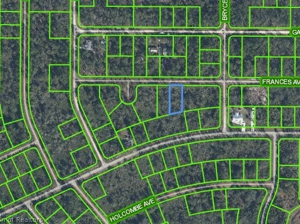 3130 Frances Ave, Lake Placid, FL 33852