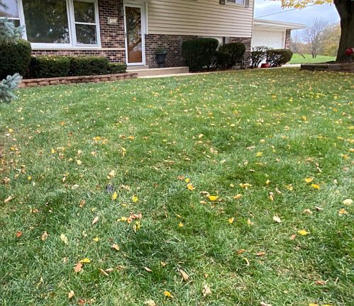2nd image of 926 Cottonwood Ln