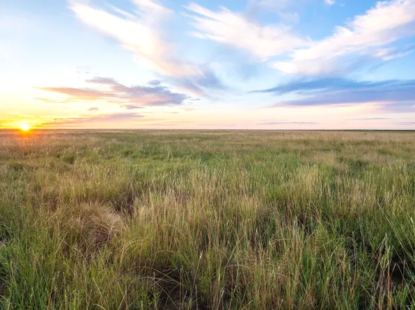 County Road 31, Sudan, TX 79371