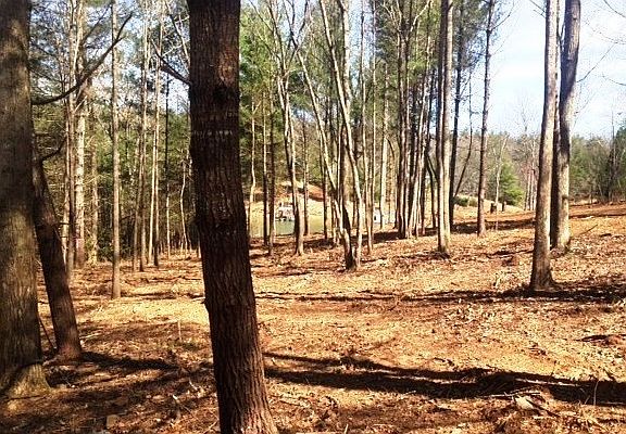 3rd image of 5 Lake Vista Dr