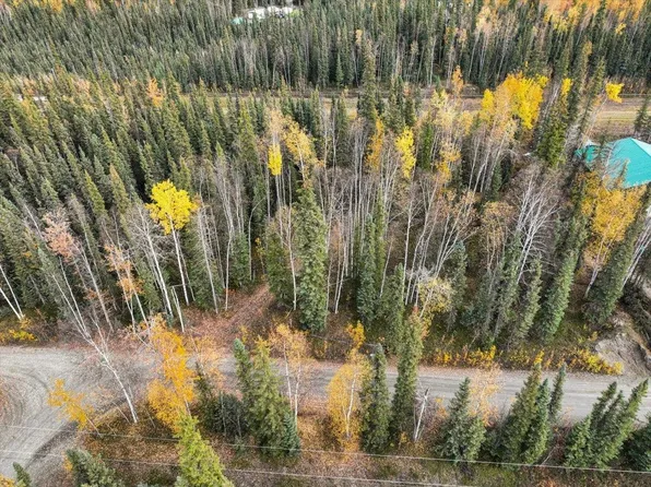 Nhn Timber Trl, North Pole, AK 99705