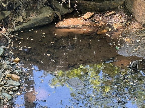 3rd image of 158 Spring Rock Trail