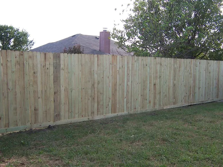 Back new fence