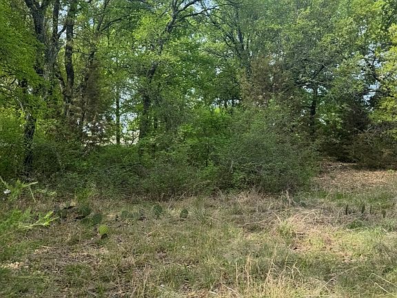 3rd image of 1016 Spring Ranch Dr