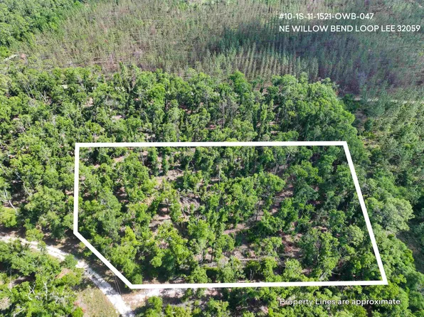 0 NE Willow Bend Loop, Lee, FL 32059