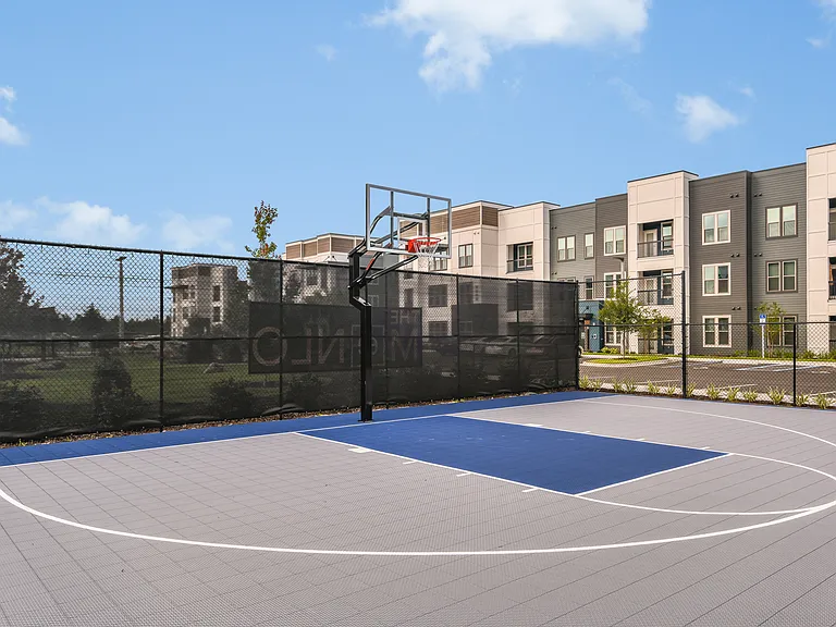 Play, practice, and compete on our community court.