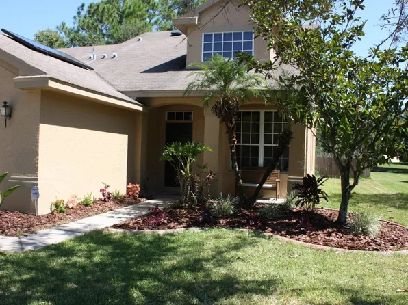 5624 Essex Ct, Palm Harbor, FL 34685