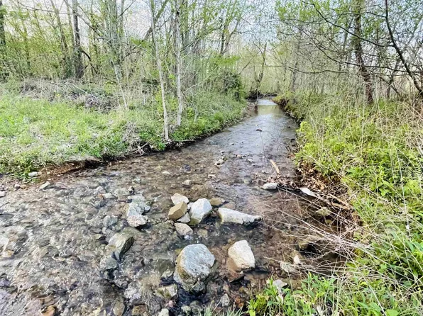 295 Lantern Ln, Olivehill, TN 38475