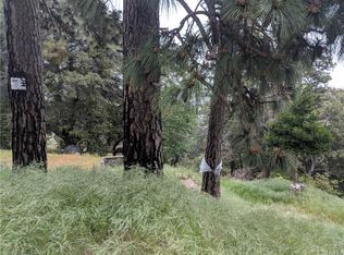 857 Mozumdar Dr, Cedarpines Park, CA 92322