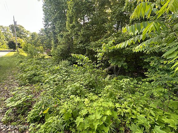 2nd image of Pine Hollow Rd