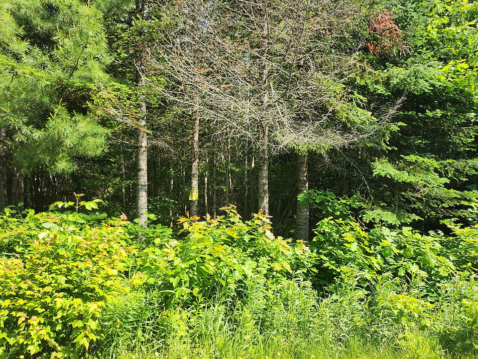 2nd image of lot 29B Windfall Lane
