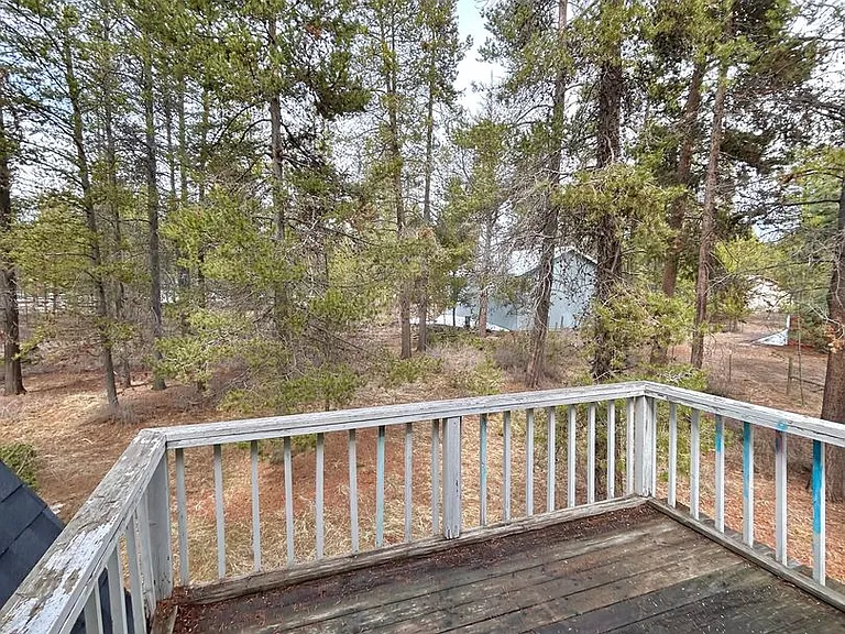 16146 Hawks Lair Rd — Photo 10