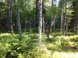 36420 Osprey Point Rd LOT 4, Watersmeet, MI 49969