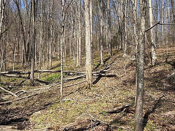 3rd image of 0 Goshen Valley Rd