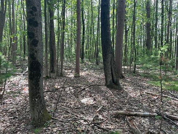2nd image of 2680 E Mullett Lake Rd