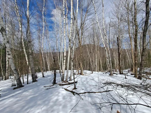 Alden Drive, Campton, NH 03223