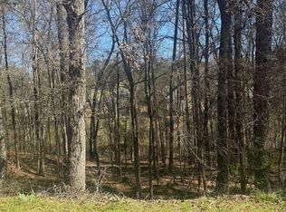 3740 Mountain Cove Rd, Snellville, GA 30039