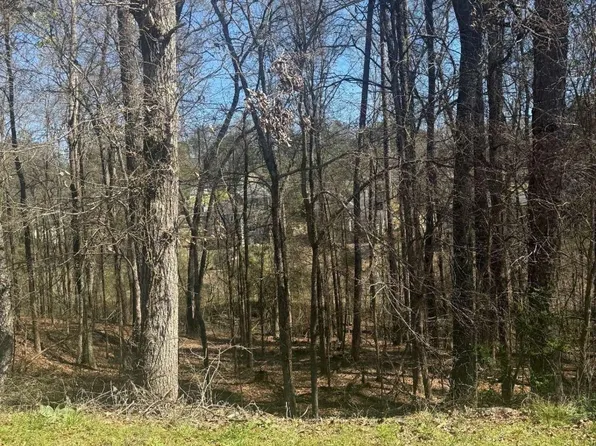 3740 Mountain Cove Rd, Snellville, GA 30039