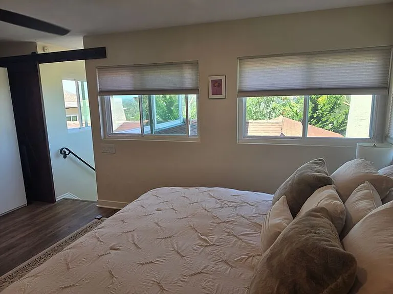 31292 Ysidora St — Photo 32