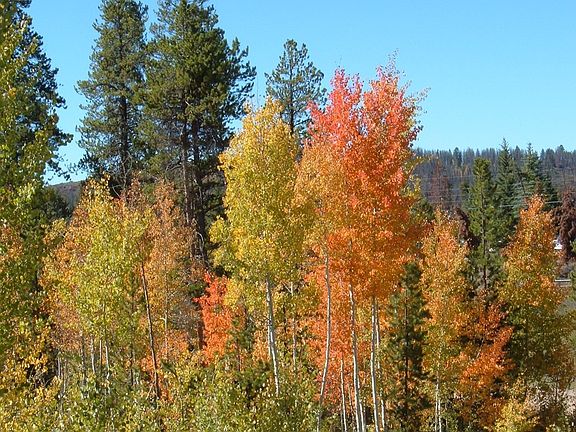 3rd image of 250 County Road 652