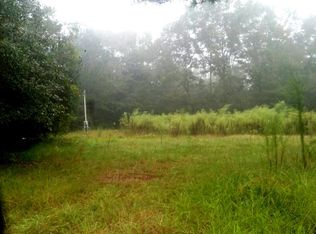 801 Buffalo Ln, Walterboro, SC 29488