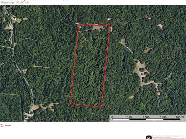 560 E Wayside Rd, Woodville, MS 39669