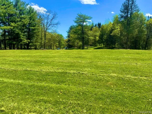 TBD LOT #2 Quaker Street, Wallkill, NY 12589