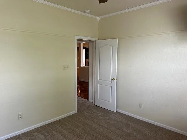 2565 Kentucky Derby Dr — Photo 22