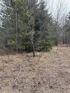 0 Nowak Rd, Vanderbilt, MI, 49795