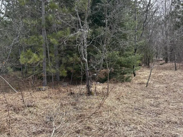 0 Nowak Rd, Vanderbilt, MI 49795