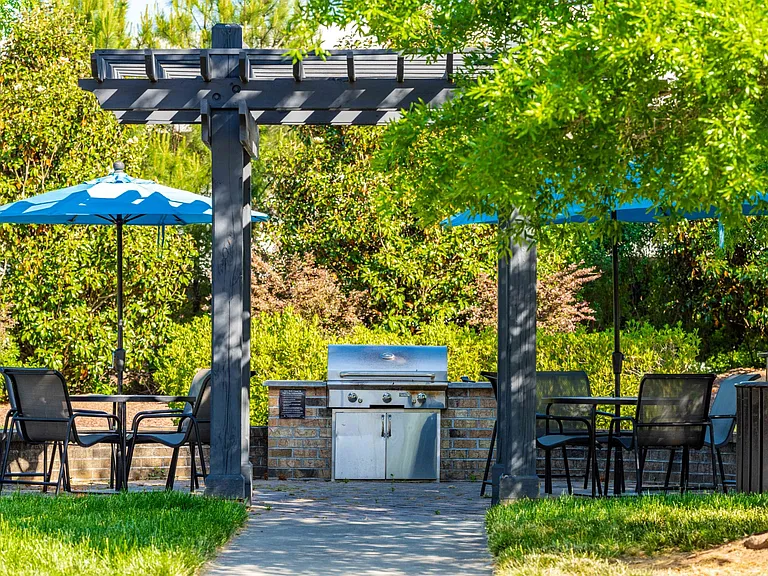 Picnic and Grilling Areas
