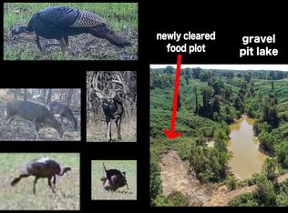 173 Cascilla Rd, Cascilla, MS 38920