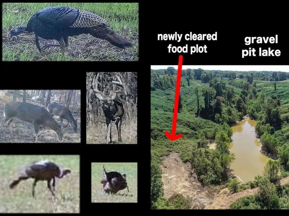 173 Cascilla Rd, Cascilla, MS 38920