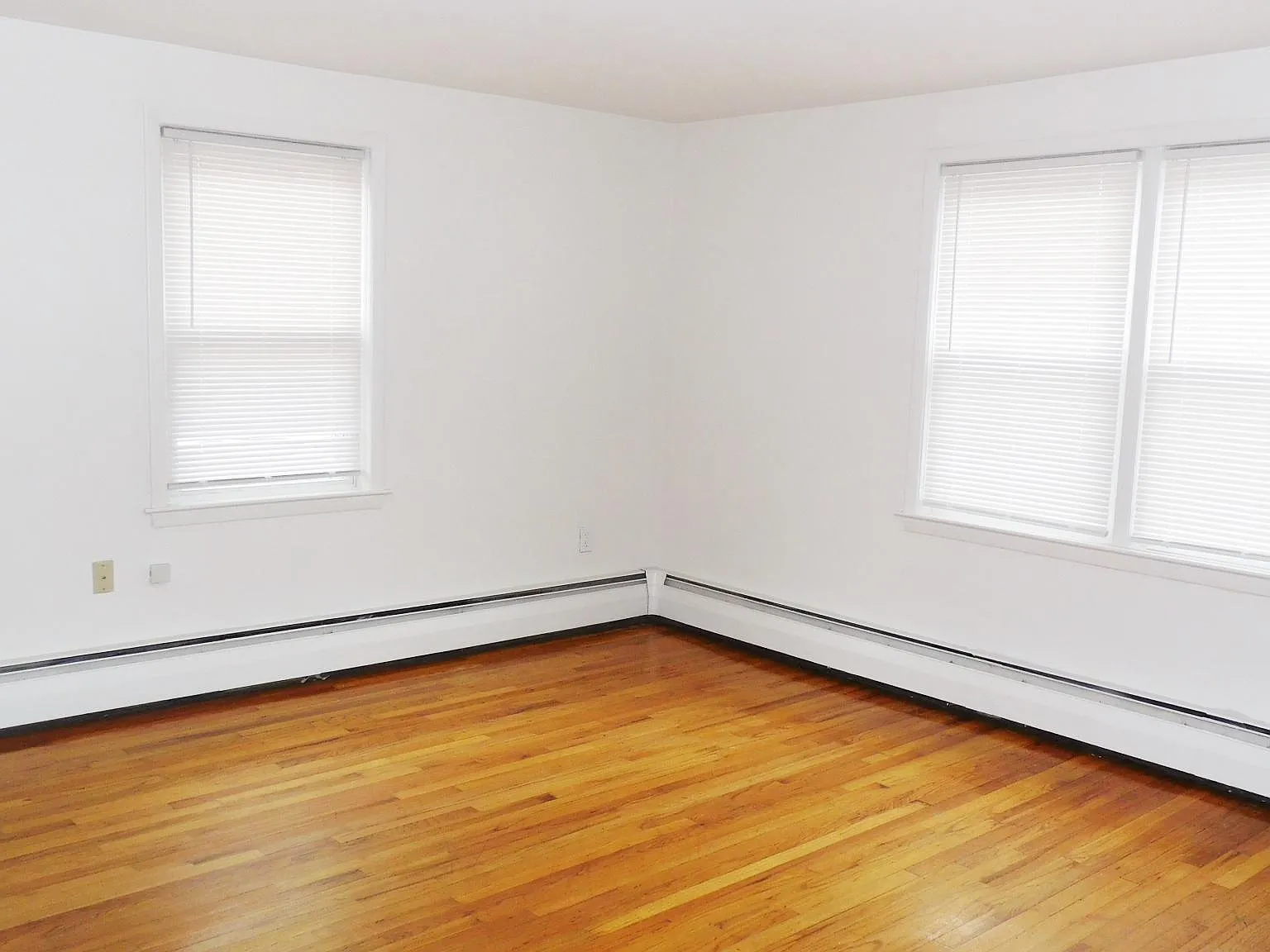 Studio, $1,005 — Photo 4