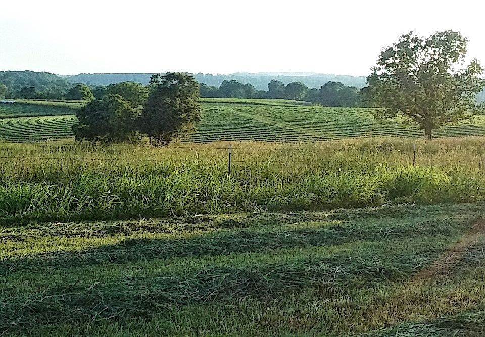 1st image of 8485 County Road A #A-436
