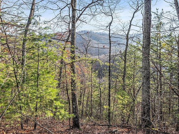 4th image of 035.19 Forest Trails Dr #R