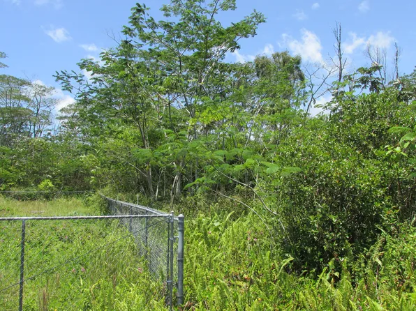 Plumeria Rd Lot 342, Pahoa, HI 96778