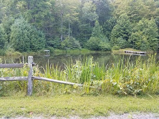 Pond across the road 