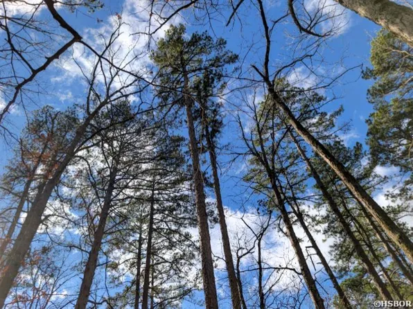 Valencia Ln, Hot Springs Village, AR 71909