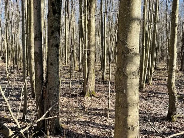 Middle Rd, Conneaut, OH 44030