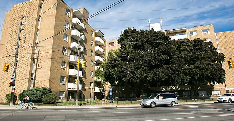 481 Vaughan Rd — Photo 5