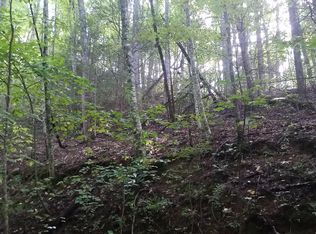 Ridgefield Dr, Sevierville, TN 37876